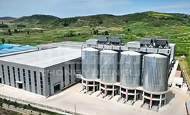 ɽ�|ʡ���ɽ�Ͷ������a(ch��n)300�f���������a(ch��n)��