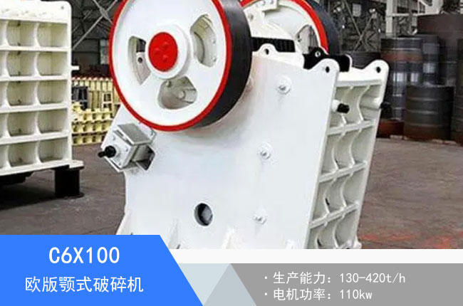 C6X100�W���ʽ����C(j��)