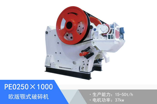 PEO250��1000�W���ʽ����C