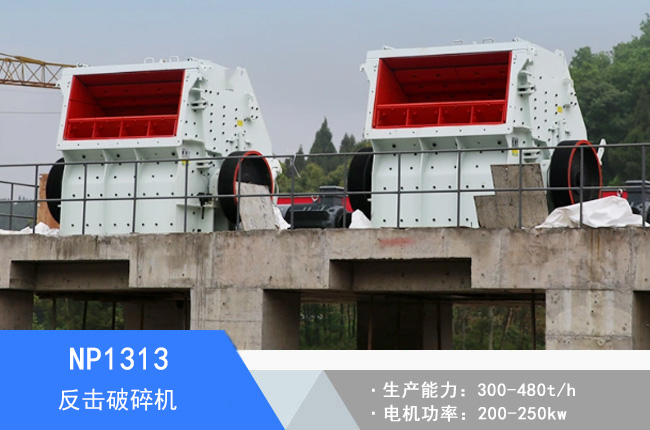 NP1313��������C(j��)