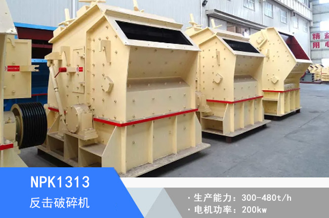 NPK1313��������C