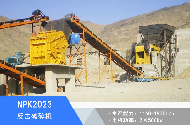 NPK2023��������C