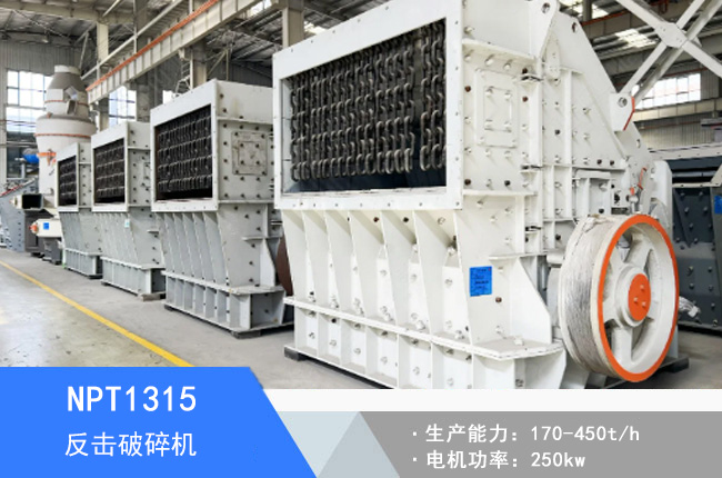 NPT1315�W�淴������C