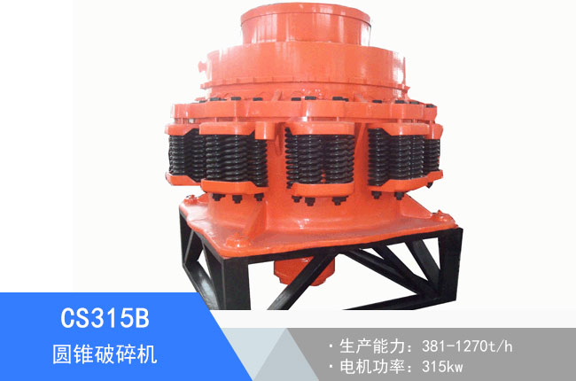 CS315B�A�F����C(j��)