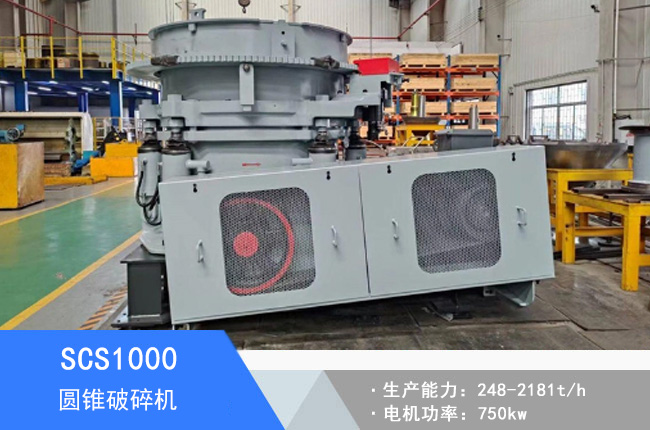 SCS1000�A�F����C(j��)