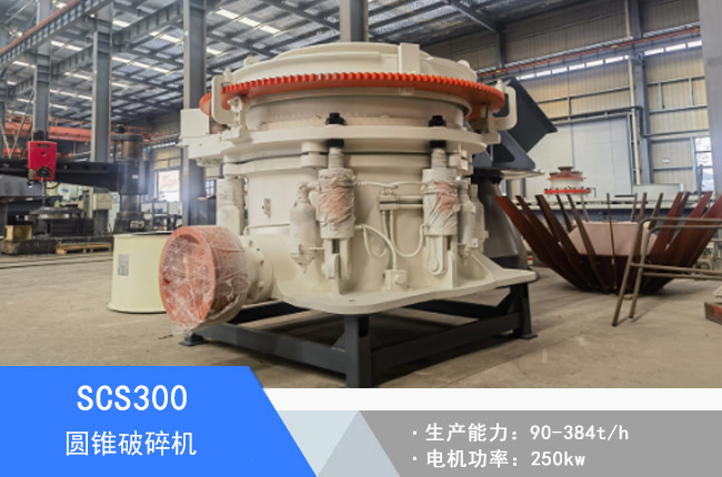 SCS300�A�F����C(j��)