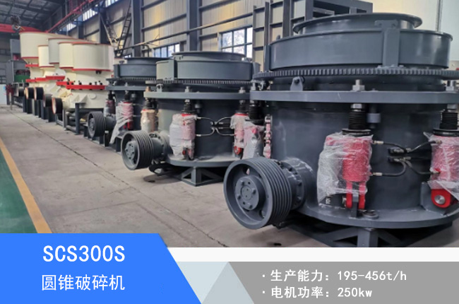 SCS300S�A�F����C(j��)