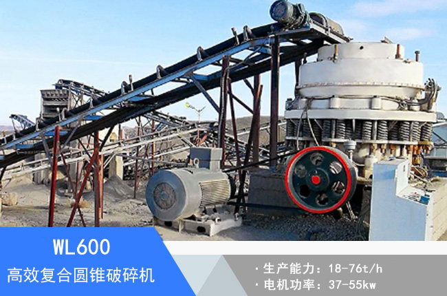 WL600��(f��)�ψA�F����C