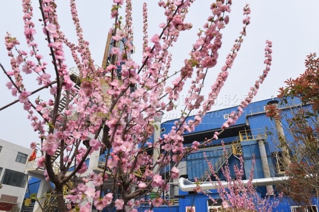 ε�{(l��n)���