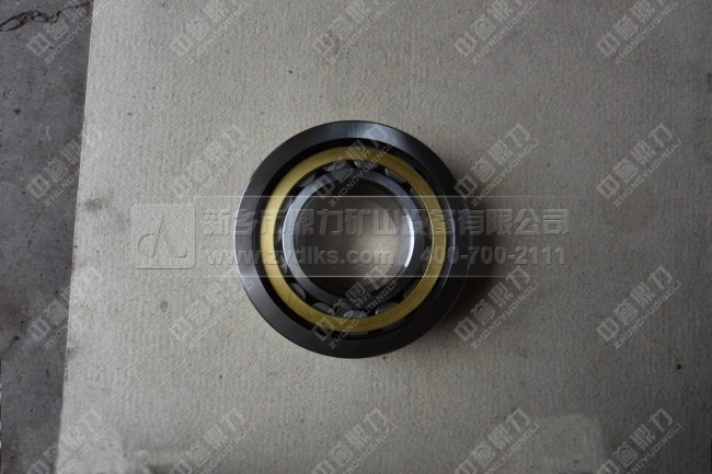 �Nʽ����C�S��