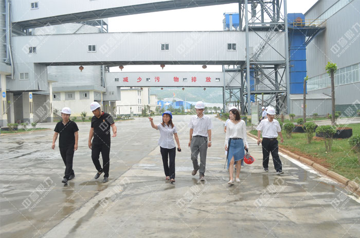 �S�^(q��)����